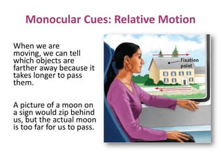 Monocular Cues: Relative Motion
When we are
moving, we can tell
which objects are
farther away because it
takes longer to pass
them.
A picture of a moon on
a sign would zip behind
us, but the actual moon
is too far for us to pass.
 