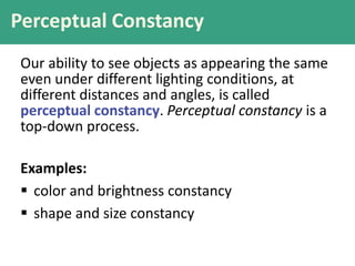 Perceptual Constancy
Our ability to see objects as appearing the same
even under different lighting conditions, at
different distances and angles, is called
perceptual constancy. Perceptual constancy is a
top-down process.
Examples:
 color and brightness constancy
 shape and size constancy
 
