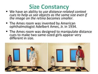Size Constancy
 We have an ability to use distance-related context
cues to help us see objects as the same size even if
the image on the retina becomes smaller.
 The Ames room was invented by American
ophthalmologist Adelbert Ames, Jr. in 1934.
 The Ames room was designed to manipulate distance
cues to make two same-sized girls appear very
different in size.
 
