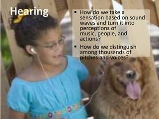 Hearing  How do we take a
sensation based on sound
waves and turn it into
perceptions of
music, people, and
actions?
 How do we distinguish
among thousands of
pitches and voices?
 