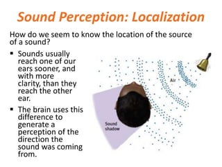 Sound Perception: Localization
How do we seem to know the location of the source
of a sound?
 Sounds usually
reach one of our
ears sooner, and
with more
clarity, than they
reach the other
ear.
 The brain uses this
difference to
generate a
perception of the
direction the
sound was coming
from.
 