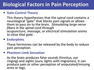  Gate-Control Theory
This theory hypothesizes that the spinal cord contains a
neurological “gate” that blocks pain signals or allows
them to pass on to the brain. Stimulating large nerve
fibers in the spinal cord through
acupuncture, massage, or electrical stimulation seems
to close that gate.
 Endorphins
These hormones can be released by the body to reduce
pain perception.
 Phantom Limb Sensation
As the brain produces false sounds (tinnitus, ear
ringing) and sights (aura, lights with migraines), it can
produce pain or other perception of amputated/missing
arms or legs.
Biological Factors in Pain Perception
 