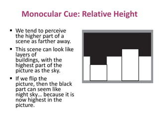 Monocular Cue: Relative Height
 We tend to perceive
the higher part of a
scene as farther away.
 This scene can look lik...