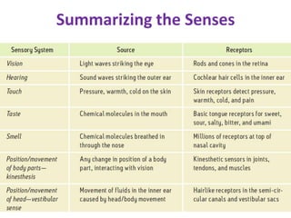 Summarizing the Senses
 