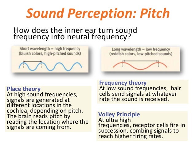 Hypothesis format if then picture