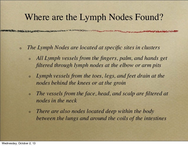 Chapter 6: Lymph, Lymph Node and Lymphocyte