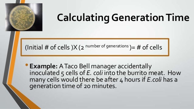 generation time
