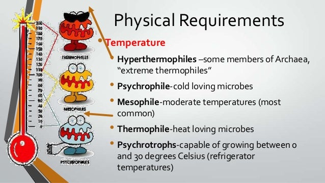 microbial growth