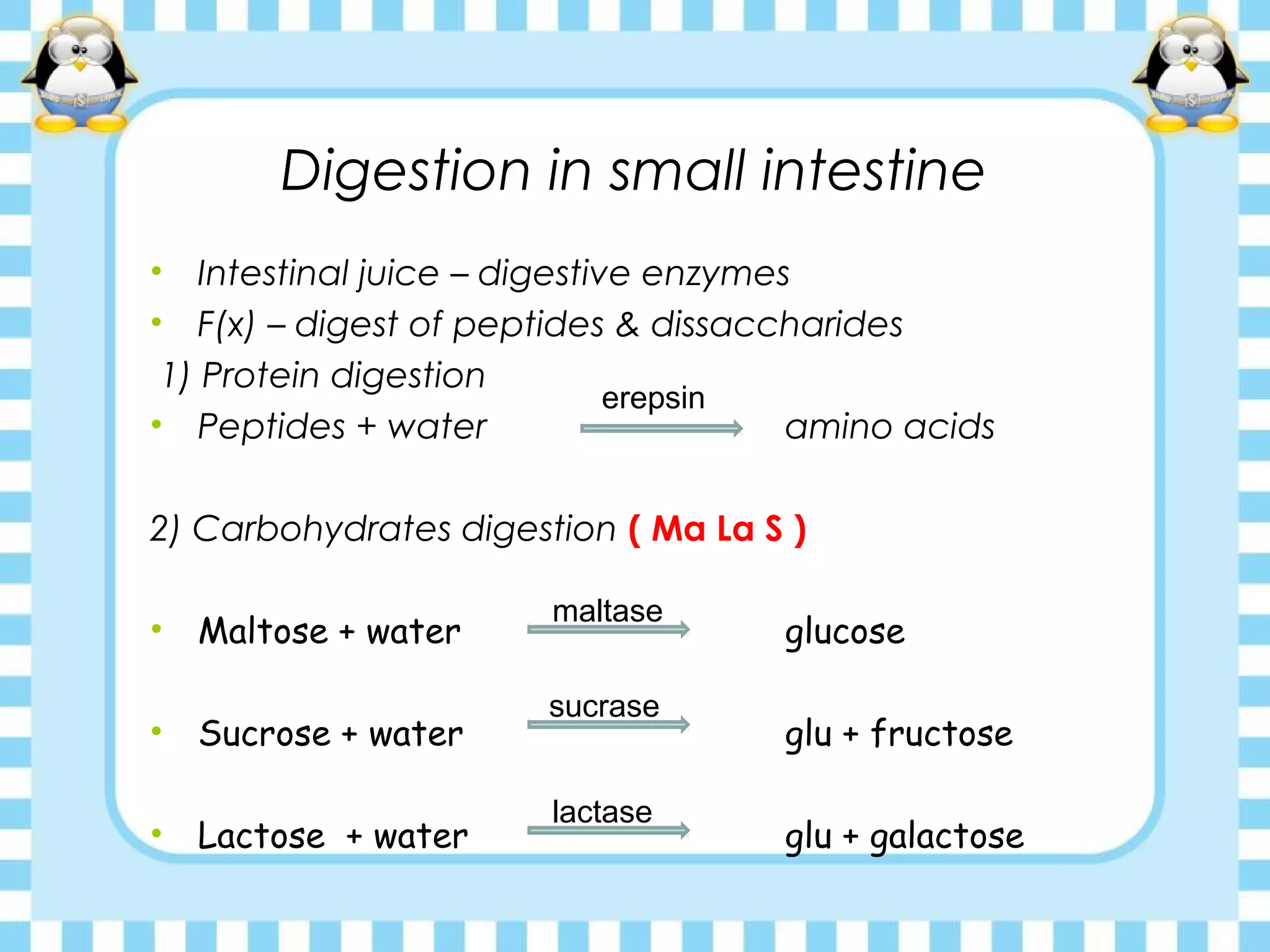 Digestion in small intestine
• Intestinal juice – digestive enzymes
• F(x) – digest of peptides & dissaccharides
1) Protein digestion
• Peptides + water amino acids
2) Carbohydrates digestion ( Ma La S )
• Maltose + water glucose
• Sucrose + water glu + fructose
• Lactose + water glu + galactose
erepsin
maltase
sucrase
lactase
 