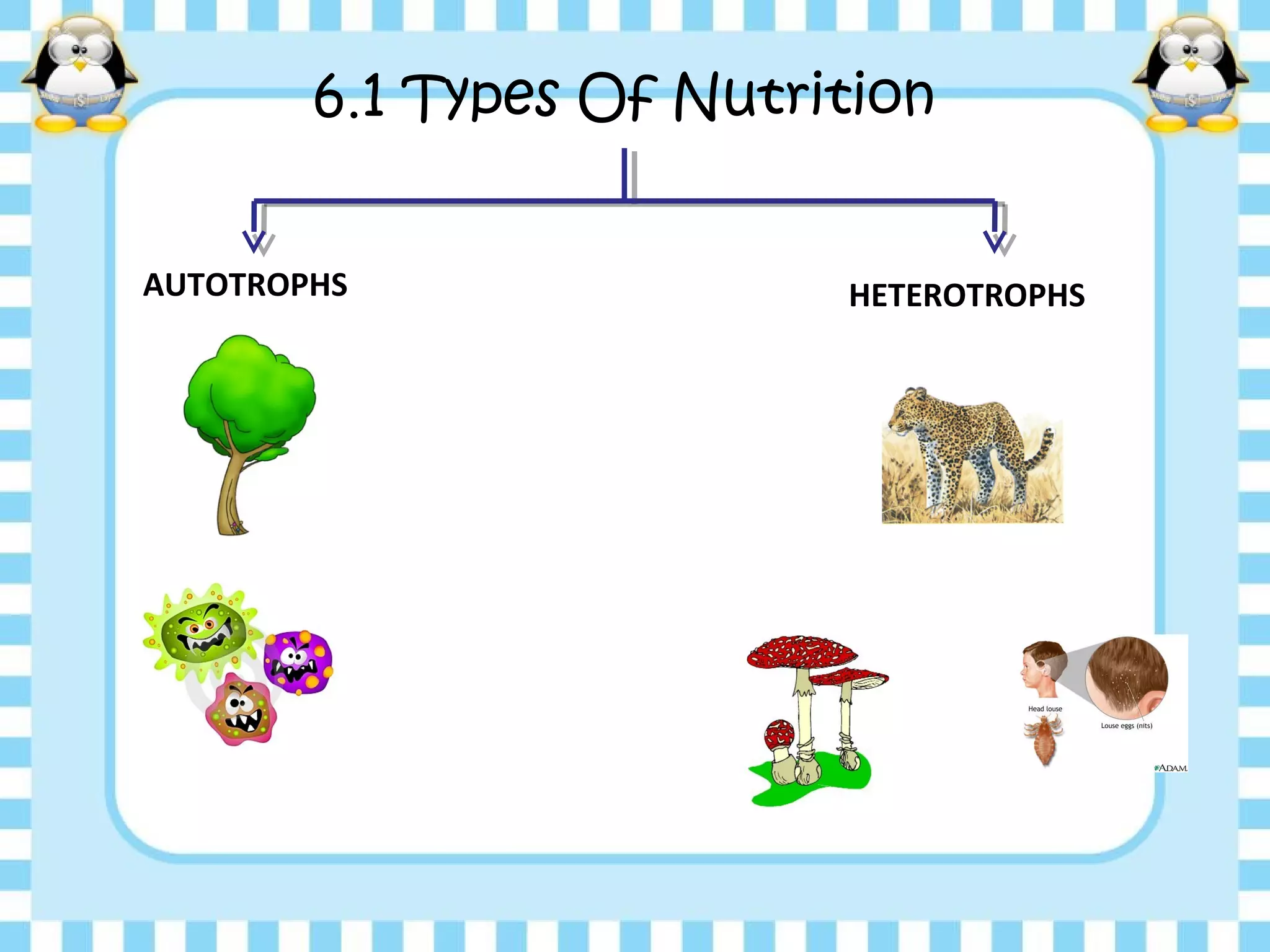 6.1 Types Of Nutrition
AUTOTROPHS HETEROTROPHS
 