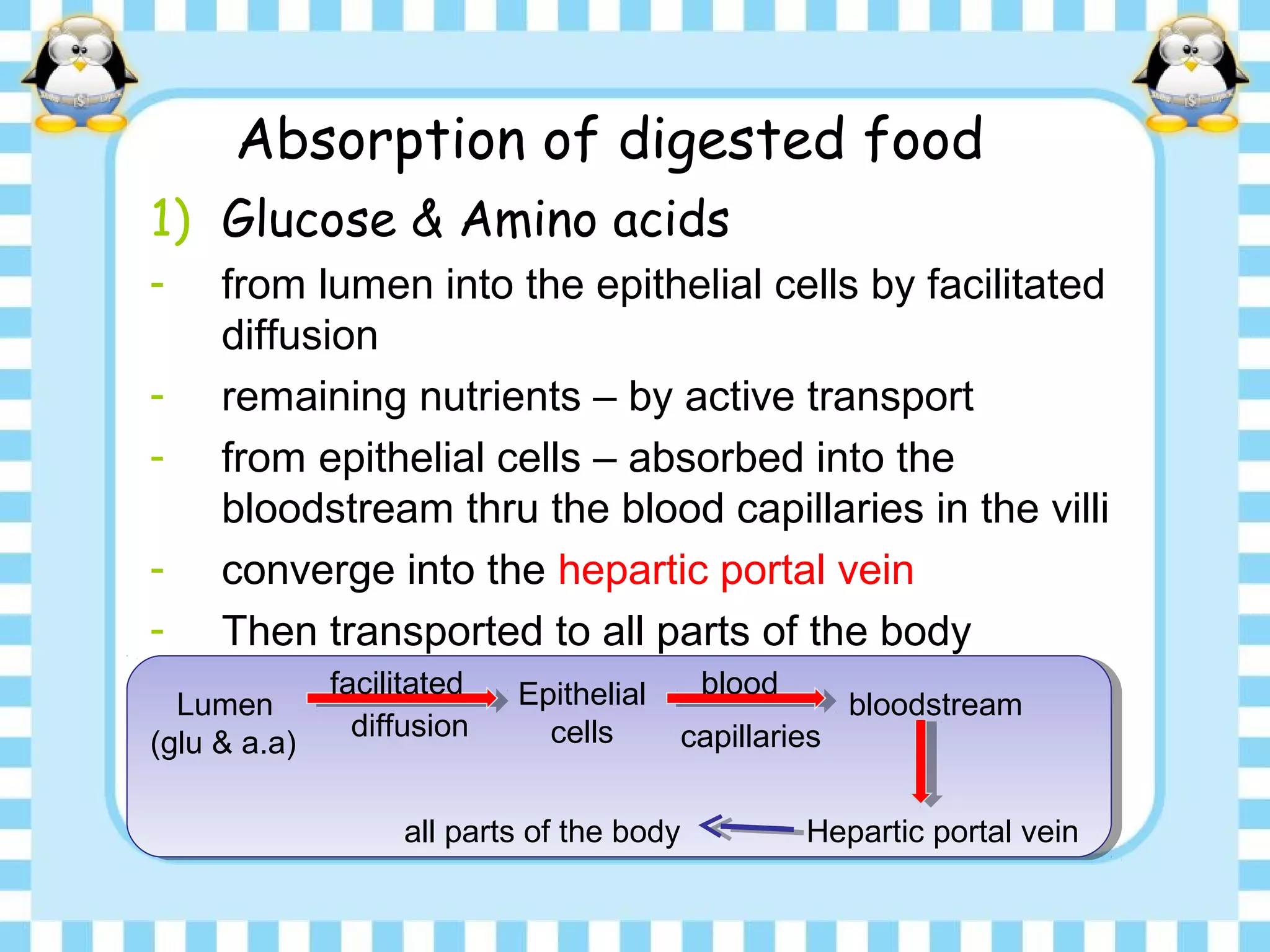 Absorption of digested food
1) Glucose & Amino acids
- from lumen into the epithelial cells by facilitated
diffusion
- remaining nutrients – by active transport
- from epithelial cells – absorbed into the
bloodstream thru the blood capillaries in the villi
- converge into the hepartic portal vein
- Then transported to all parts of the body
Lumen
(glu & a.a)
facilitated
diffusion
Epithelial
cells
bloodstream
Hepartic portal vein
blood
capillaries
all parts of the body
 
