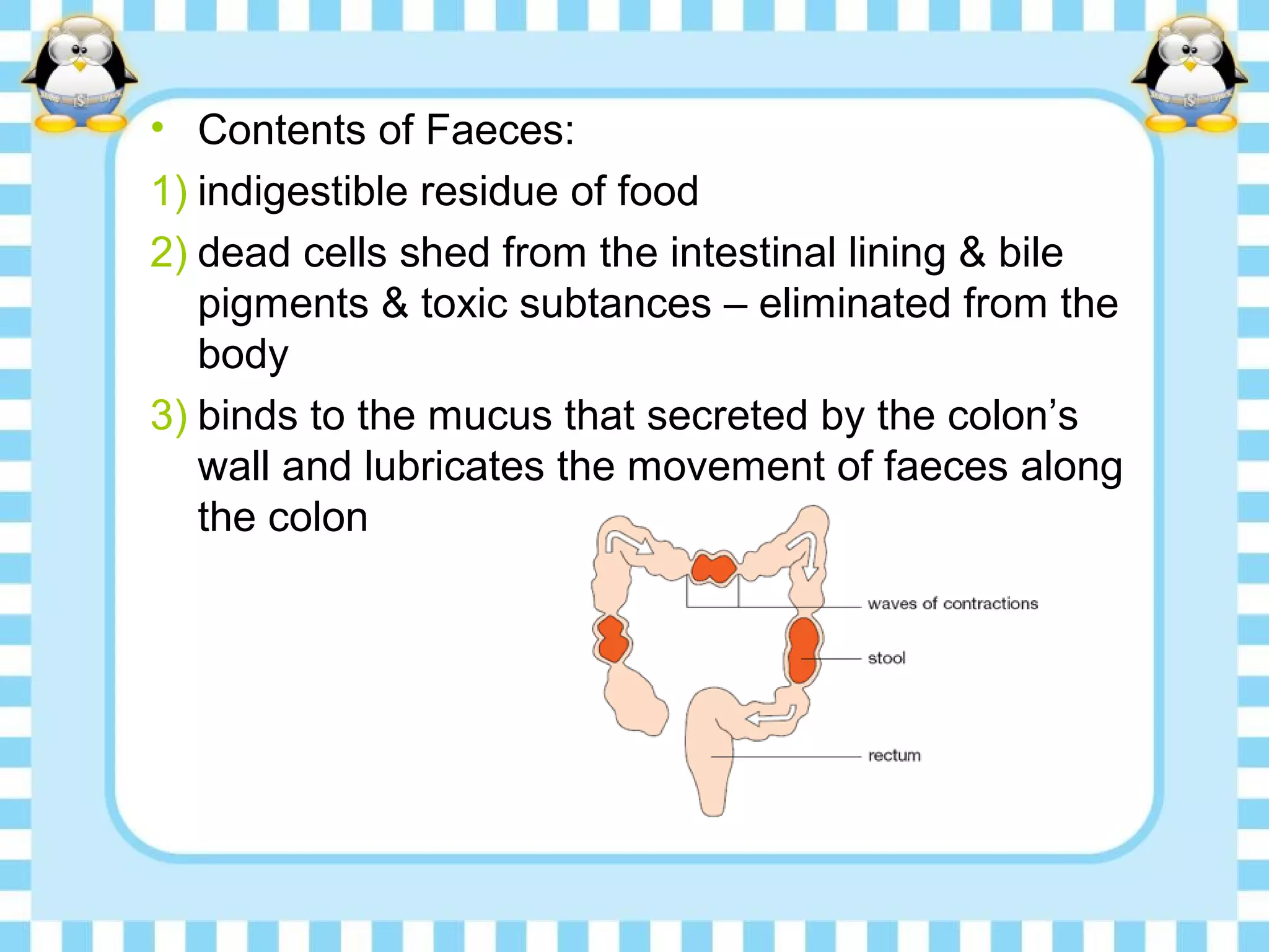 • Contents of Faeces:
1) indigestible residue of food
2) dead cells shed from the intestinal lining & bile
pigments & toxic subtances – eliminated from the
body
3) binds to the mucus that secreted by the colon’s
wall and lubricates the movement of faeces along
the colon
 