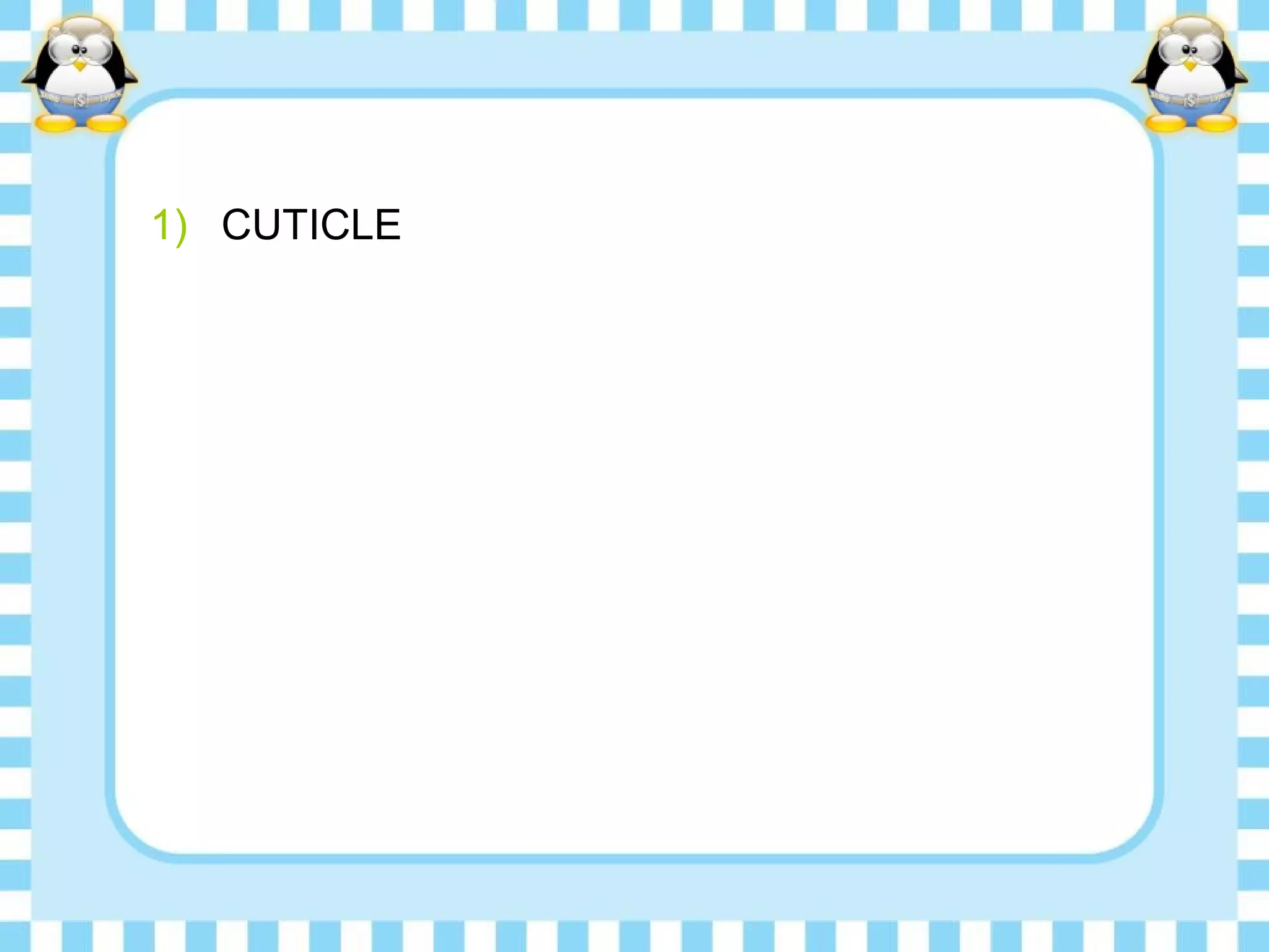 1) CUTICLE
 