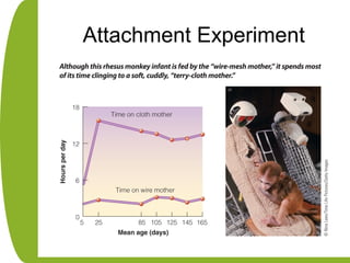 Attachment Experiment
 