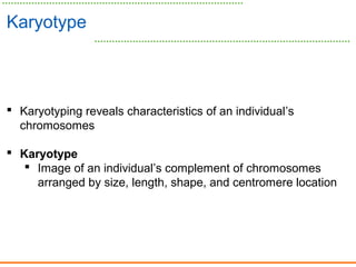 Karyotype
 Karyotyping reveals characteristics of an individual’s
chromosomes
 Karyotype
 Image of an individual’s complement of chromosomes
arranged by size, length, shape, and centromere location
 