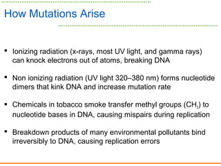 How Mutations Arise
 Ionizing radiation (x-rays, most UV light, and gamma rays)
can knock electrons out of atoms, breaking DNA
 Non ionizing radiation (UV light 320–380 nm) forms nucleotide
dimers that kink DNA and increase mutation rate
 Chemicals in tobacco smoke transfer methyl groups (CH3) to
nucleotide bases in DNA, causing mispairs during replication
 Breakdown products of many environmental pollutants bind
irreversibly to DNA, causing replication errors
 