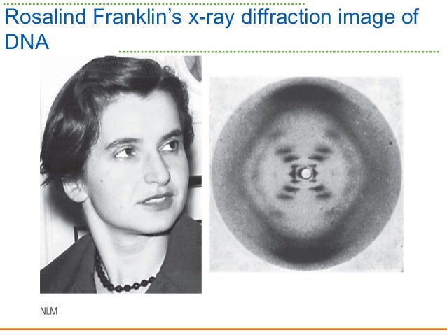 rosalind franklin x ray diffraction on dna rosalind franklin x ray diffraction on dna