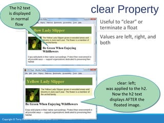 Copyright © Terry Felke-Morris http://terrymorris.net
clear Property
Useful to “clear” or
terminate a float
Values are left, right, and
both
The h2 text
is displayed
in normal
flow.
The h2 text
is displayed
in normal
flow.
clear: left;
was applied to the h2.
Now the h2 text
displays AFTER the
floated image.
clear: left;
was applied to the h2.
Now the h2 text
displays AFTER the
floated image.
 