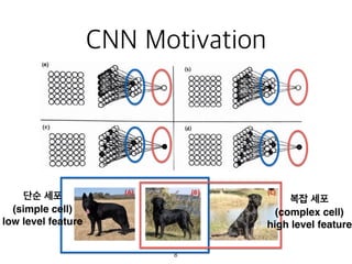 (simple cell)
low level feature
(complex cell)
high level feature
 