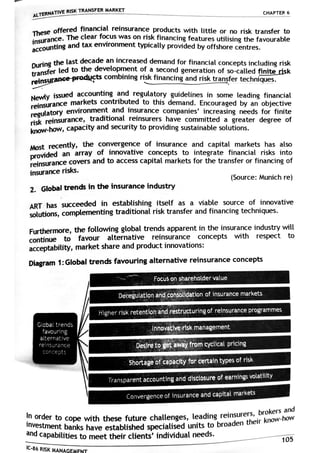 IC-86 Risk Management | PDF