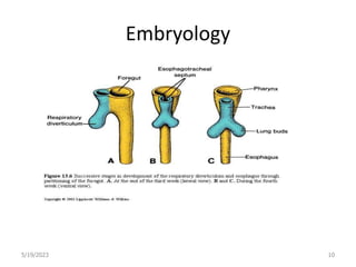 Tef Classification chapter 6-1 Esophageal atresia and TEF.ppt