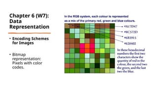 Bitmap Image Representation Introduction to Communication Technology | PPTX