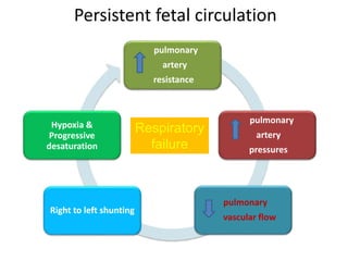 Persistent fetal circulation
pulmonary
artery
resistance
pulmonary
artery
pressures
pulmonary
vascular flow
Right to left shunting
Hypoxia &
Progressive
desaturation
Respiratory
failure
 