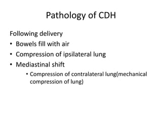 Pathology of CDH
Following delivery
• Bowels fill with air
• Compression of ipsilateral lung
• Mediastinal shift
• Compression of contralateral lung(mechanical
compression of lung)
 