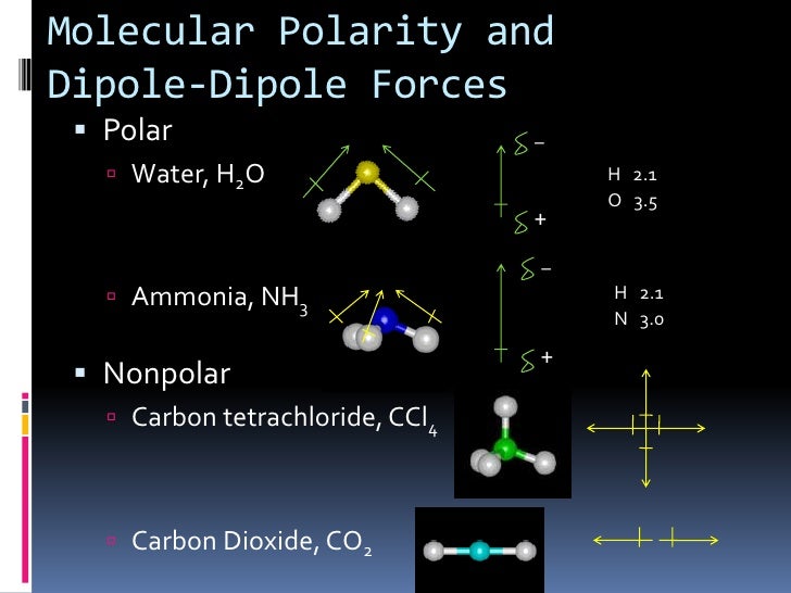 Chapter 6.5 : Molecular Geometry