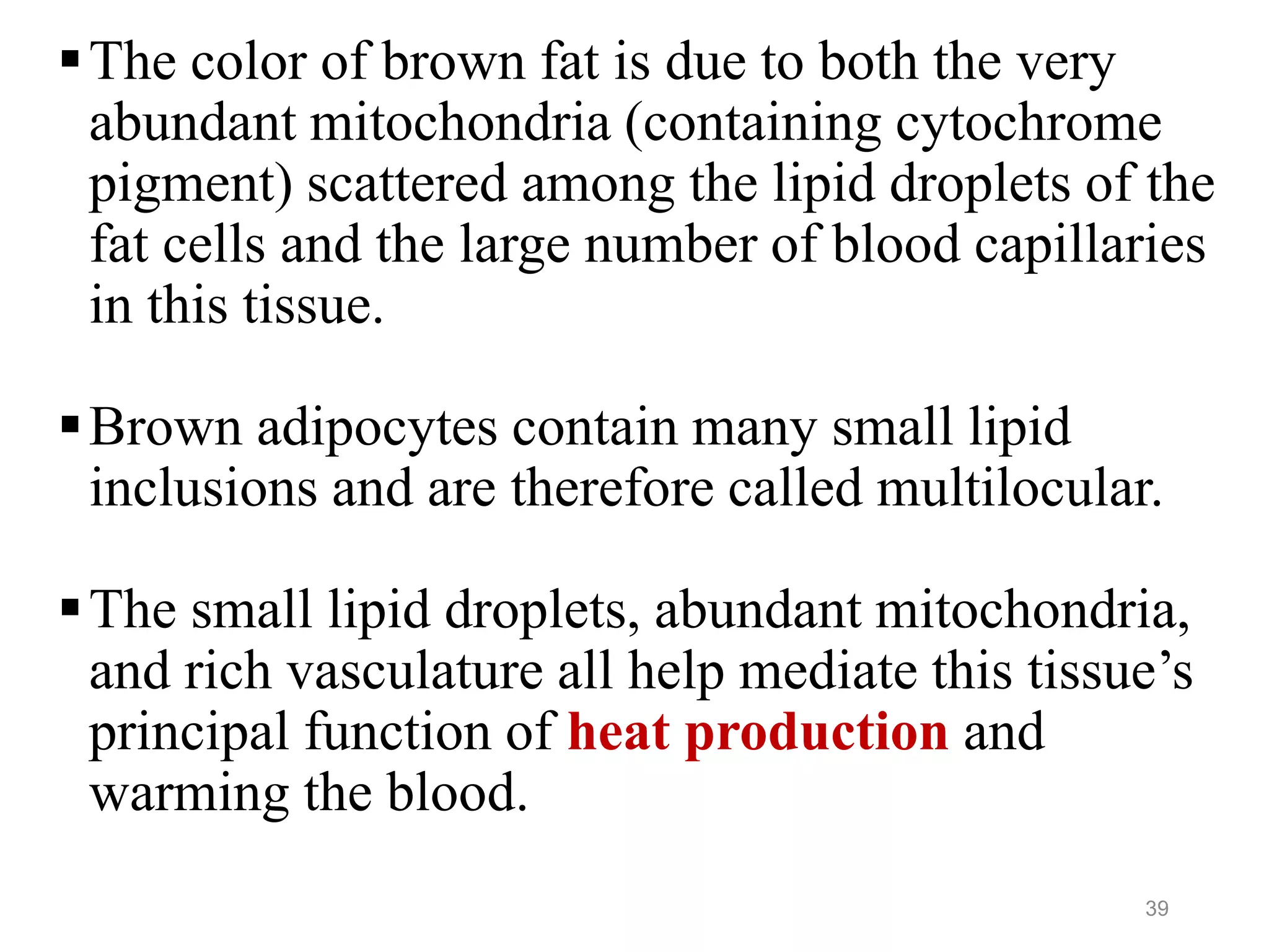 The color of brown fat is due to both the very
abundant mitochondria (containing cytochrome
pigment) scattered among the lipid droplets of the
fat cells and the large number of blood capillaries
in this tissue.
Brown adipocytes contain many small lipid
inclusions and are therefore called multilocular.
The small lipid droplets, abundant mitochondria,
and rich vasculature all help mediate this tissue’s
principal function of heat production and
warming the blood.
39
 