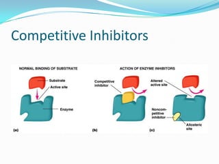 Competitive Inhibitors
 