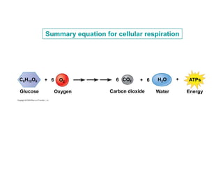 Chapter 6 Cell Energy Compatibility Mode