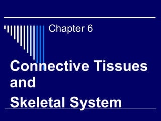 Chapter 6 Connective Tissues and  Skeletal System 