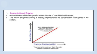 1. Concentration of Enzyme
• As the concentration of enzyme increases the rate of reaction also increases.
• This means enzymatic activity is directly proportional to the concentration of enzymes in the
system.
 