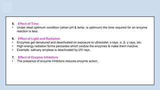 5. Effect of Time
• Under ideal optimum condition (when pH & temp. is optimum) the time required for an enzyme
reaction is less.
6. Effect of Light and Radiation
• Enzymes get denatured and deactivated on exposure to ultraviolet, x-rays, α, β, γ rays, etc.
• High energy radiation forms peroxides which oxidize the enzymes & make them inactive.
• Example: salivary amylase is deactivated by UV rays.
7. Effect of Enzyme Inhibitors
• The presence of enzyme inhibitors reduces enzyme action.
 