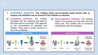1. REVERSIBLE INHIBITION: This inhibitor binds non-covalently (weak bonds) with an
enzyme and inhibition can be reversed if the inhibitor is removed.
b) Non-competitive Inhibition: The inhibitor
binds to the enzyme at a site other than the
active site. The inhibitor has no structural
resemblance with the substrate.
a) Competitive Inhibition: The inhibitor
competes with the substrate and binds at
the active site of an enzyme. This depends
on the concentration of substrate and
inhibitor. They have a similar structure to
that of the substrate.
 