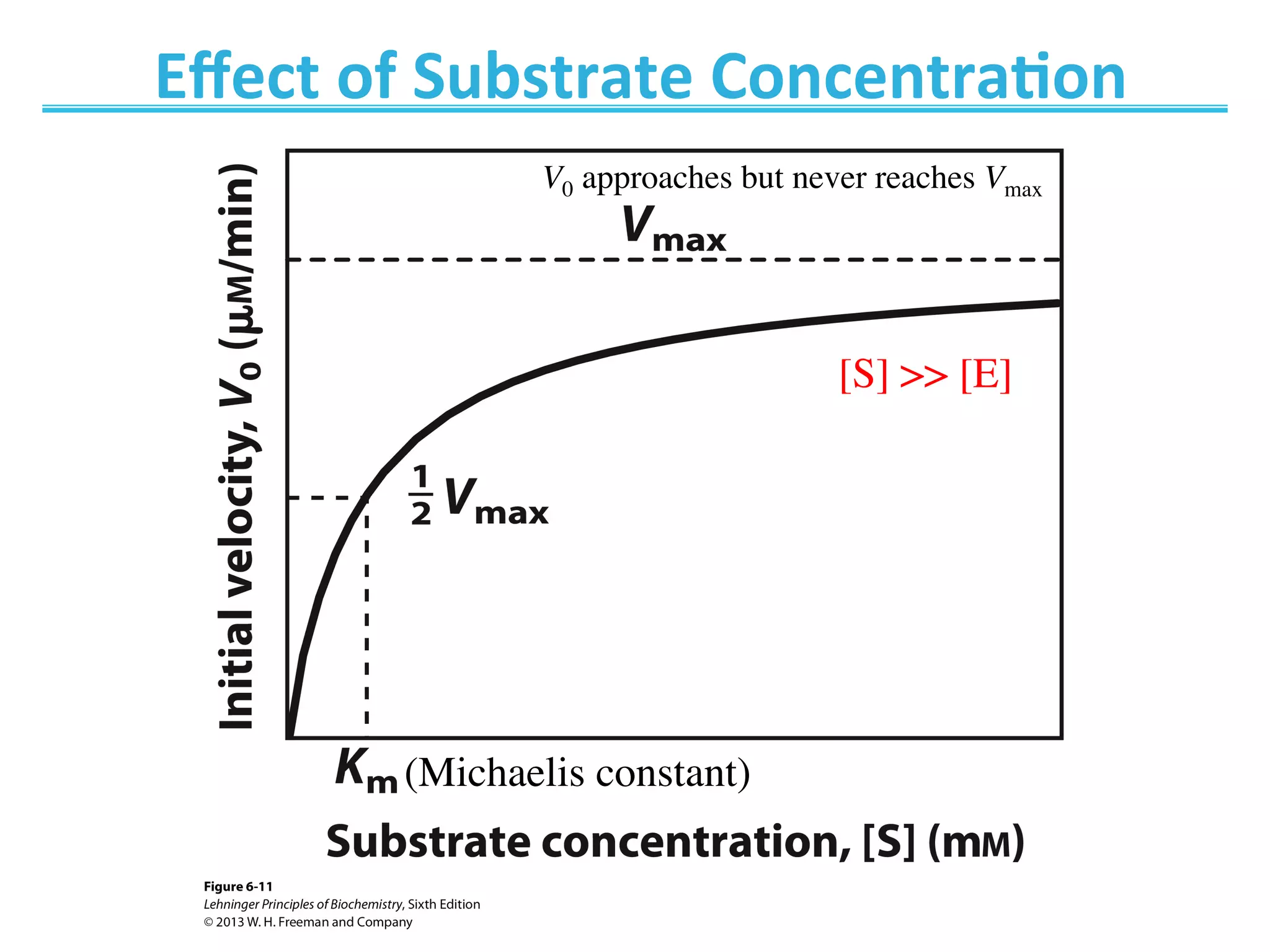 Eﬀect	
  of	
  Substrate	
  Concentra@on	
  
V0 approaches but never reaches Vmax
(Michaelis constant)
[S]  [E]
 