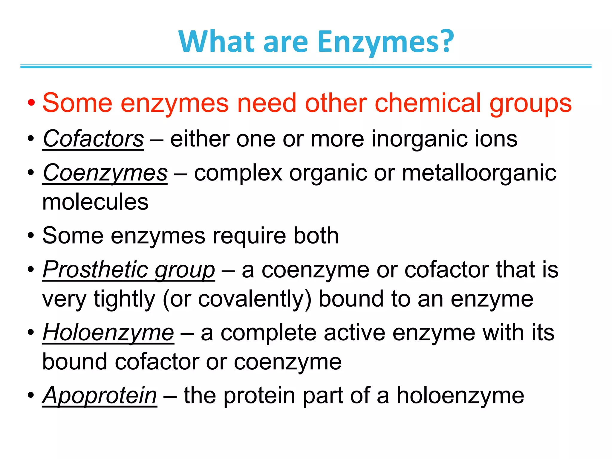 What	
  are	
  Enzymes?	
  
• Some enzymes need other chemical groups
•  Cofactors – either one or more inorganic ions
•  Coenzymes – complex organic or metalloorganic
molecules
•  Some enzymes require both
•  Prosthetic group – a coenzyme or cofactor that is
very tightly (or covalently) bound to an enzyme
•  Holoenzyme – a complete active enzyme with its
bound cofactor or coenzyme
•  Apoprotein – the protein part of a holoenzyme
 