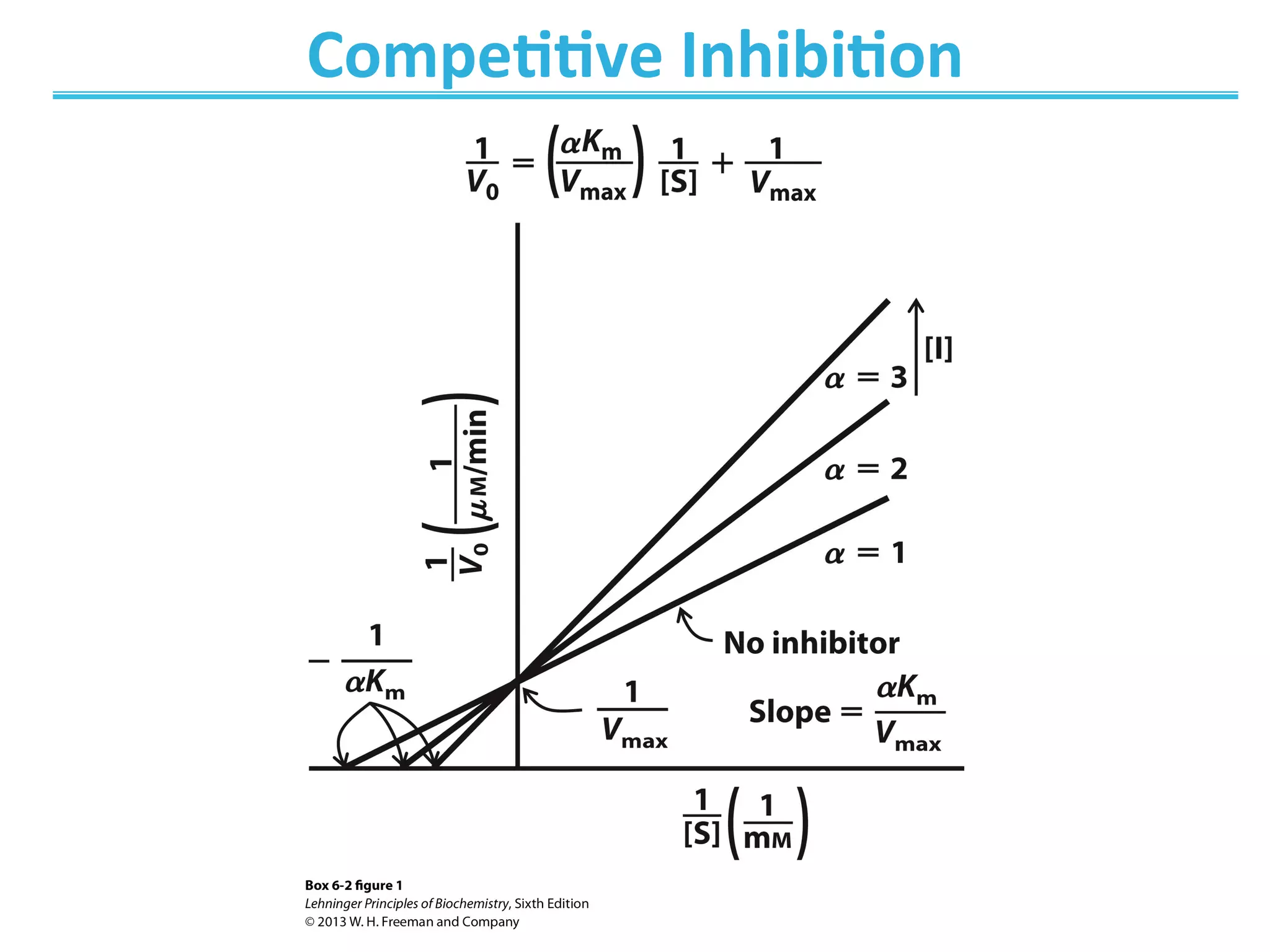 Compe@@ve	
  Inhibi@on	
  
 