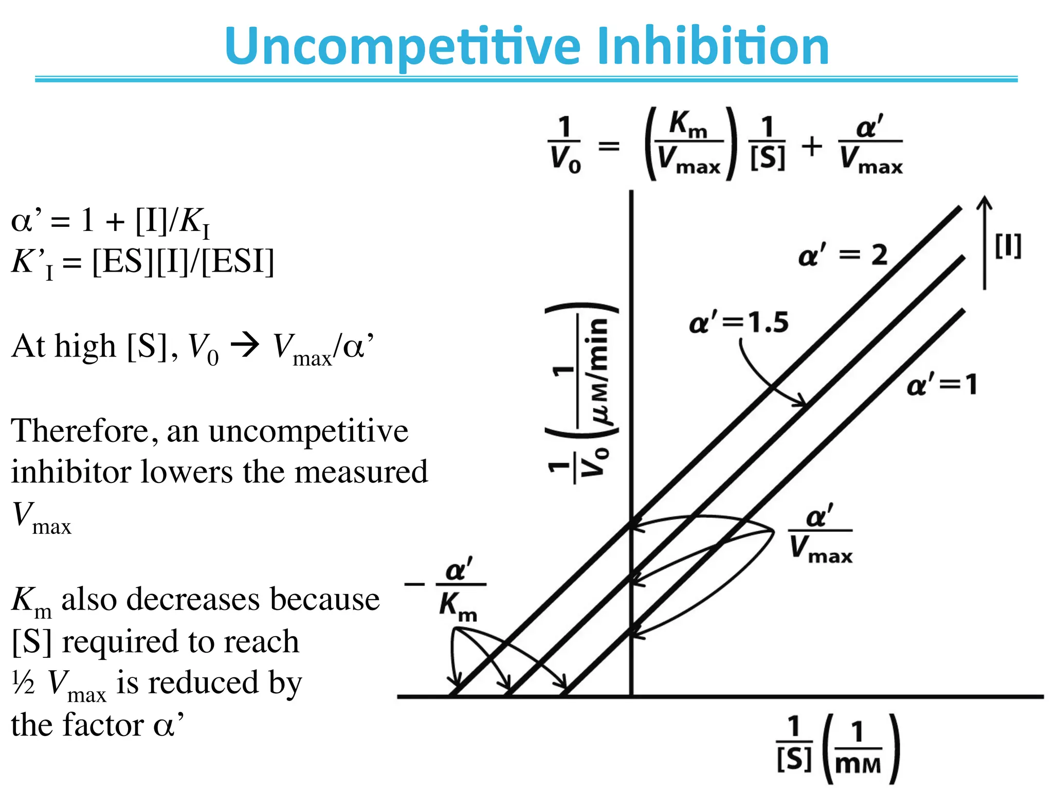 α’ = 1 + [I]/KI
K’I = [ES][I]/[ESI]
At high [S], V0 à Vmax/α’
Therefore, an uncompetitive
inhibitor lowers the measured
Vmax
Km also decreases because 
[S] required to reach 
½ Vmax is reduced by 
the factor α’
Uncompe@@ve	
  Inhibi@on	
  
 
