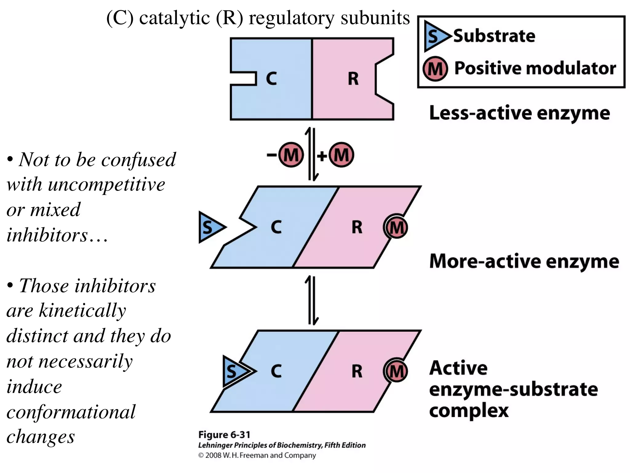 (C) catalytic (R) regulatory subunits
• Not to be confused
with uncompetitive
or mixed
inhibitors…
• Those inhibitors
are kinetically
distinct and they do
not necessarily
induce
conformational
changes
 