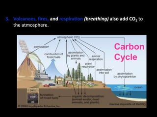 3. Volcanoes, fires, and respiration (breathing) also add CO2 to
the atmosphere.
Carbon
Cycle
 