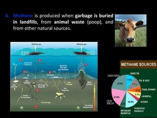 4. Methane is produced when garbage is buried
in landfills, from animal waste (poop), and
from other natural sources.
 