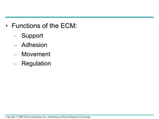 • Functions of the ECM:
– Support
– Adhesion
– Movement
– Regulation
Copyright © 2008 Pearson Education, Inc., publishing as Pearson Benjamin Cummings
 