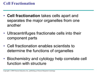 Cell Fractionation
• Cell fractionation takes cells apart and
separates the major organelles from one
another
• Ultracentrifuges fractionate cells into their
component parts
• Cell fractionation enables scientists to
determine the functions of organelles
• Biochemistry and cytology help correlate cell
function with structure
Copyright © 2008 Pearson Education, Inc., publishing as Pearson Benjamin Cummings
 