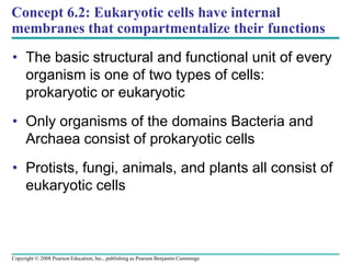 Concept 6.2: Eukaryotic cells have internal
membranes that compartmentalize their functions
• The basic structural and functional unit of every
organism is one of two types of cells:
prokaryotic or eukaryotic
• Only organisms of the domains Bacteria and
Archaea consist of prokaryotic cells
• Protists, fungi, animals, and plants all consist of
eukaryotic cells
Copyright © 2008 Pearson Education, Inc., publishing as Pearson Benjamin Cummings
 