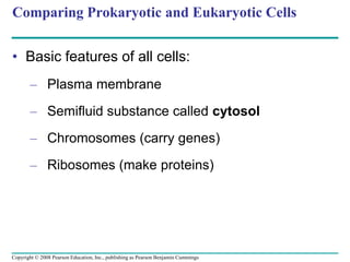 Comparing Prokaryotic and Eukaryotic Cells
• Basic features of all cells:
– Plasma membrane
– Semifluid substance called cytosol
– Chromosomes (carry genes)
– Ribosomes (make proteins)
Copyright © 2008 Pearson Education, Inc., publishing as Pearson Benjamin Cummings
 