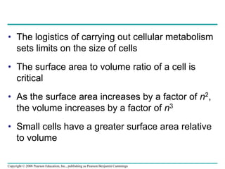 • The logistics of carrying out cellular metabolism
sets limits on the size of cells
• The surface area to volume ratio of a cell is
critical
• As the surface area increases by a factor of n2,
the volume increases by a factor of n3
• Small cells have a greater surface area relative
to volume
Copyright © 2008 Pearson Education, Inc., publishing as Pearson Benjamin Cummings
 
