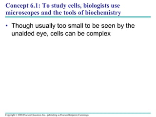 Concept 6.1: To study cells, biologists use
microscopes and the tools of biochemistry
• Though usually too small to be seen by the
unaided eye, cells can be complex
Copyright © 2008 Pearson Education, Inc., publishing as Pearson Benjamin Cummings
 