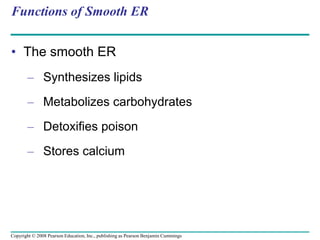 Functions of Smooth ER
• The smooth ER
– Synthesizes lipids
– Metabolizes carbohydrates
– Detoxifies poison
– Stores calcium
Copyright © 2008 Pearson Education, Inc., publishing as Pearson Benjamin Cummings
 